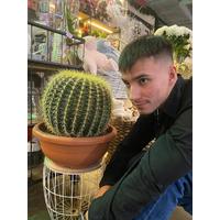 Егор Самохин